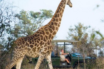 Luxury tour of South Africa - Cape and Kruger tour and safari